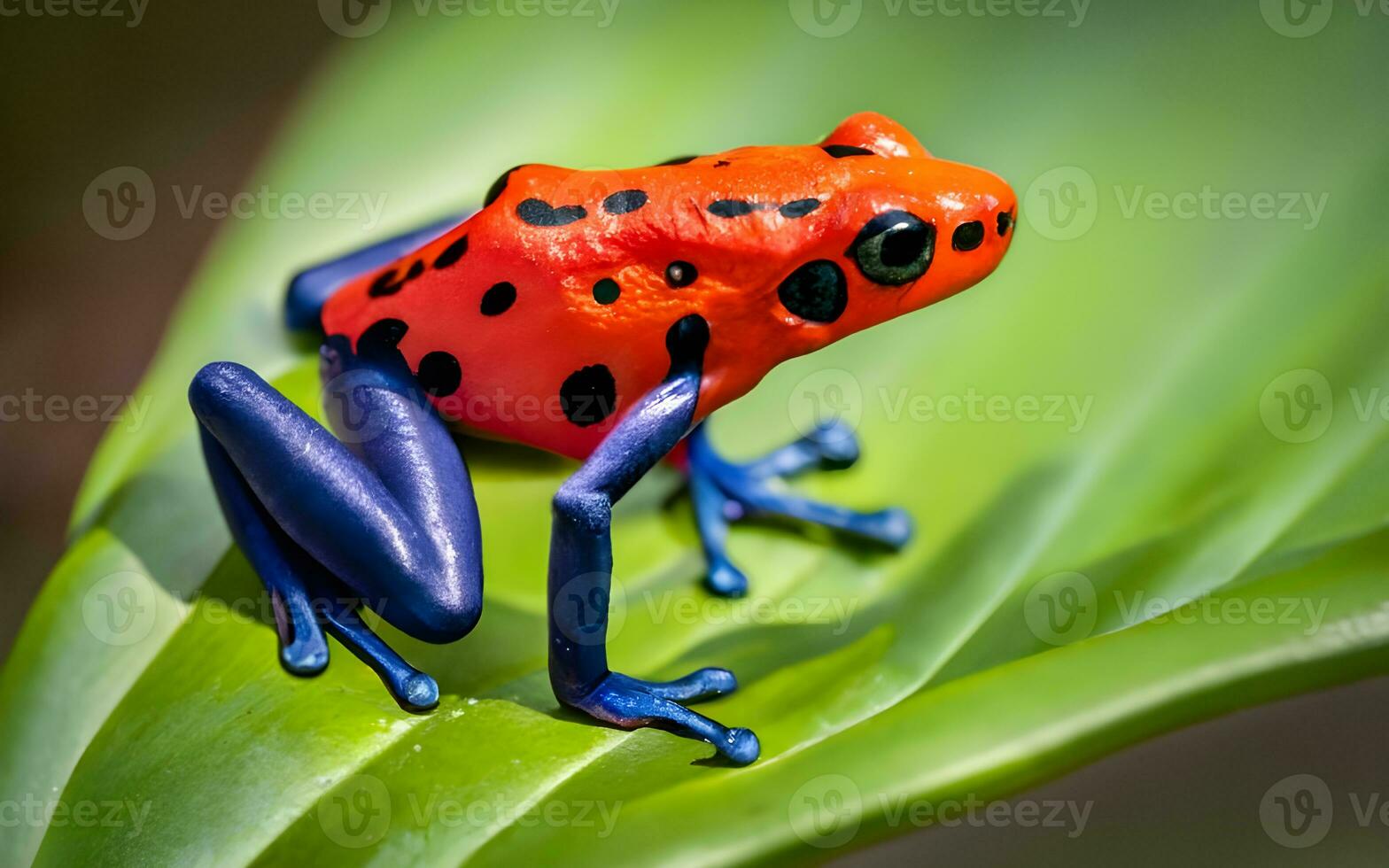 encantador elegancia, un cautivador de cerca de un veneno dardo de rana vibrante colores. ai generado foto