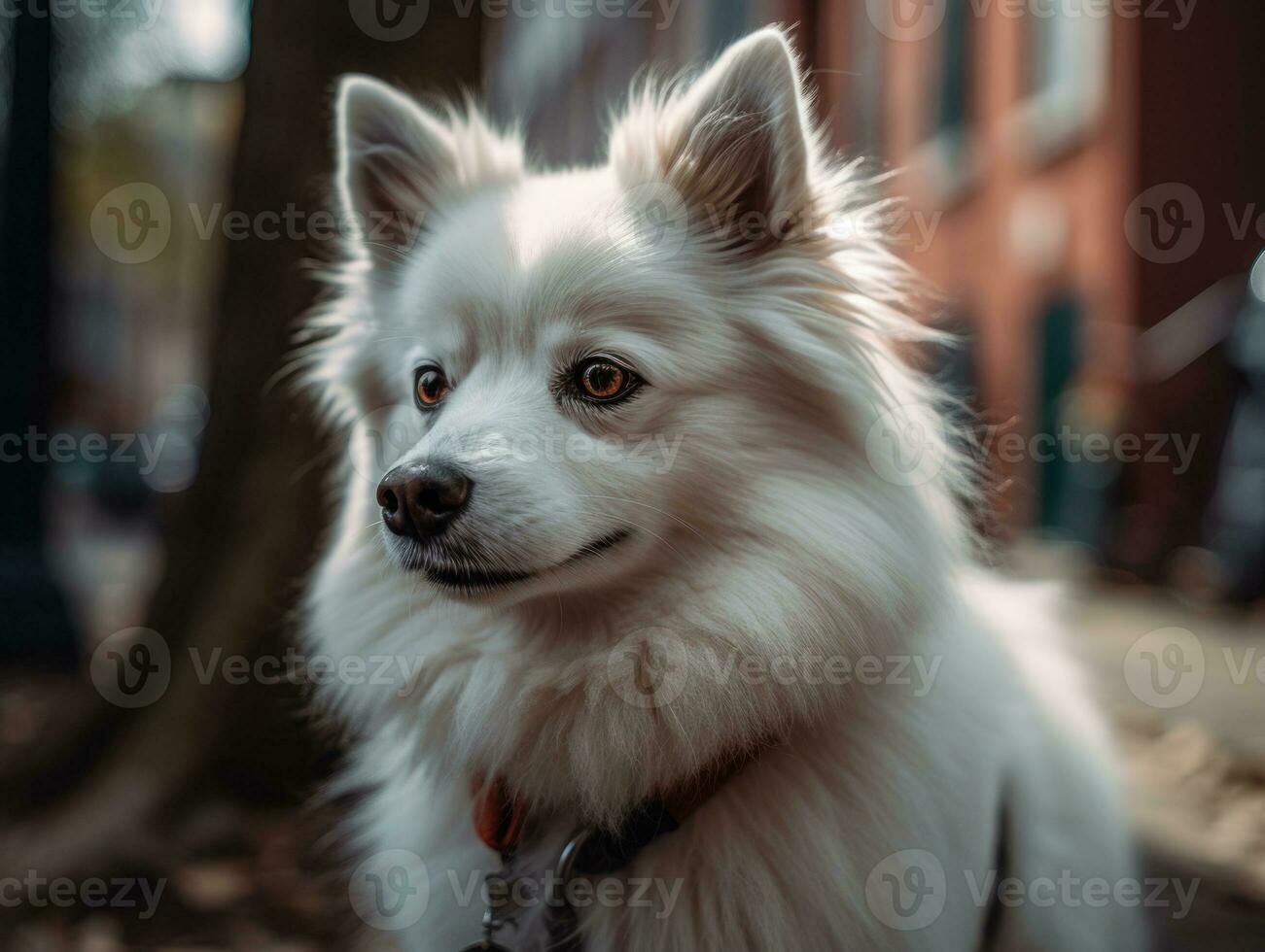 American Eskimo dog created with Generative AI technology photo