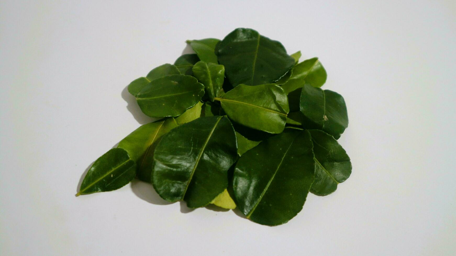 Daun Jeruk Purut. Kaffir lime leaves used for aromatic Indonesian cuisine, including soup, curry, rice, stir fry, chips, and salads. photo