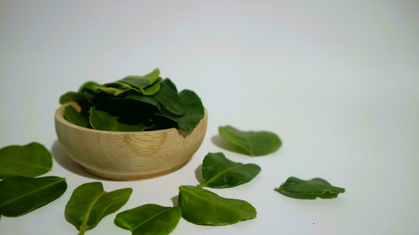 Daun Jeruk Purut. Kaffir lime leaves used for aromatic Indonesian cuisine, including soup, curry, rice, stir fry, chips, and salads. photo