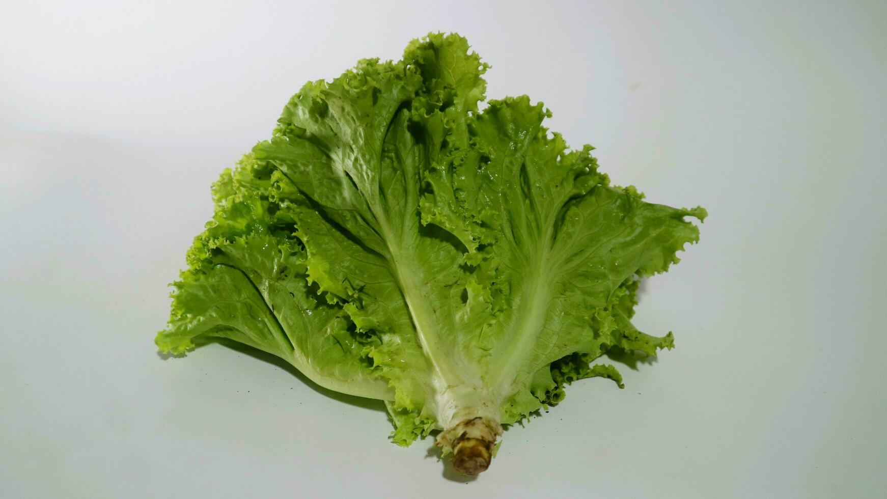 Fresh green lettuce salad leaves isolated white background photo