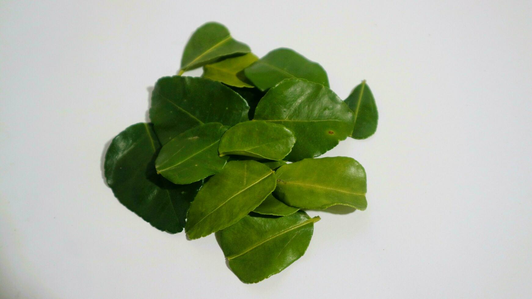 Daun Jeruk Purut. Kaffir lime leaves used for aromatic Indonesian cuisine, including soup, curry, rice, stir fry, chips, and salads. photo