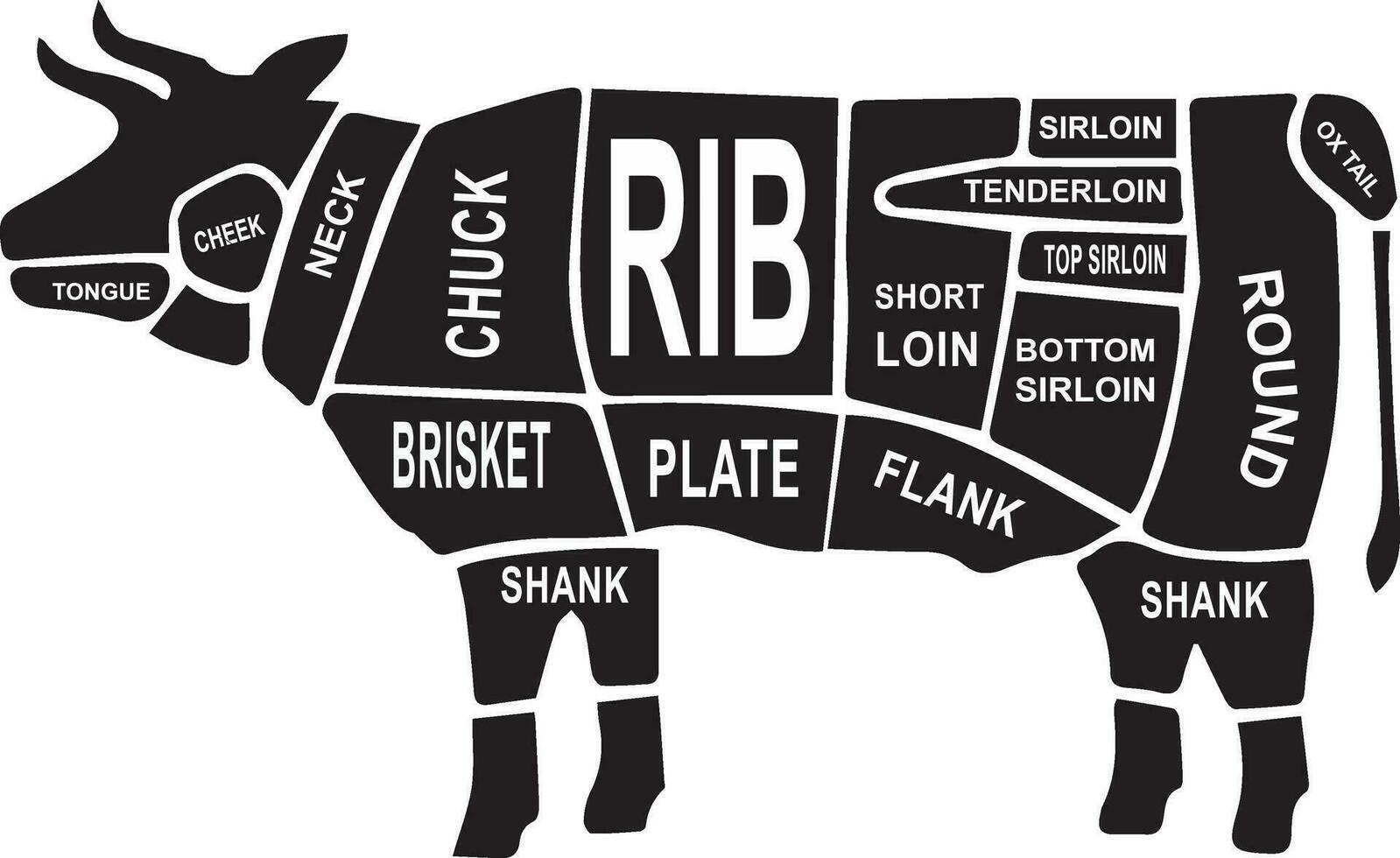 corte de conjunto de carne de res. diagrama y esquema del carnicero del cartel - vaca. tipográfico vintage dibujado a mano. ilustración vectorial vector