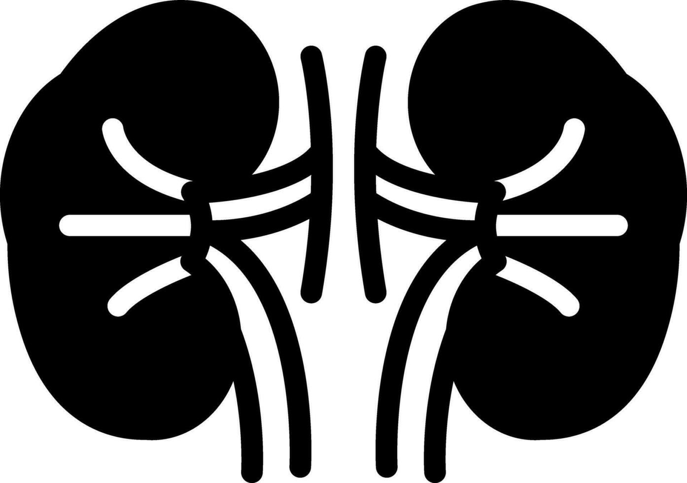solid icon for kidney vector