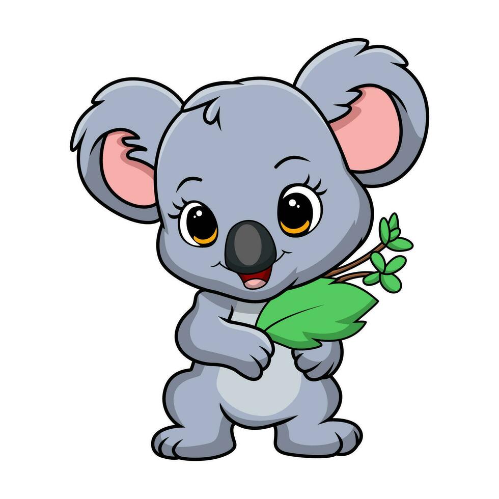 Cute little koala cartoon holding leaves vector