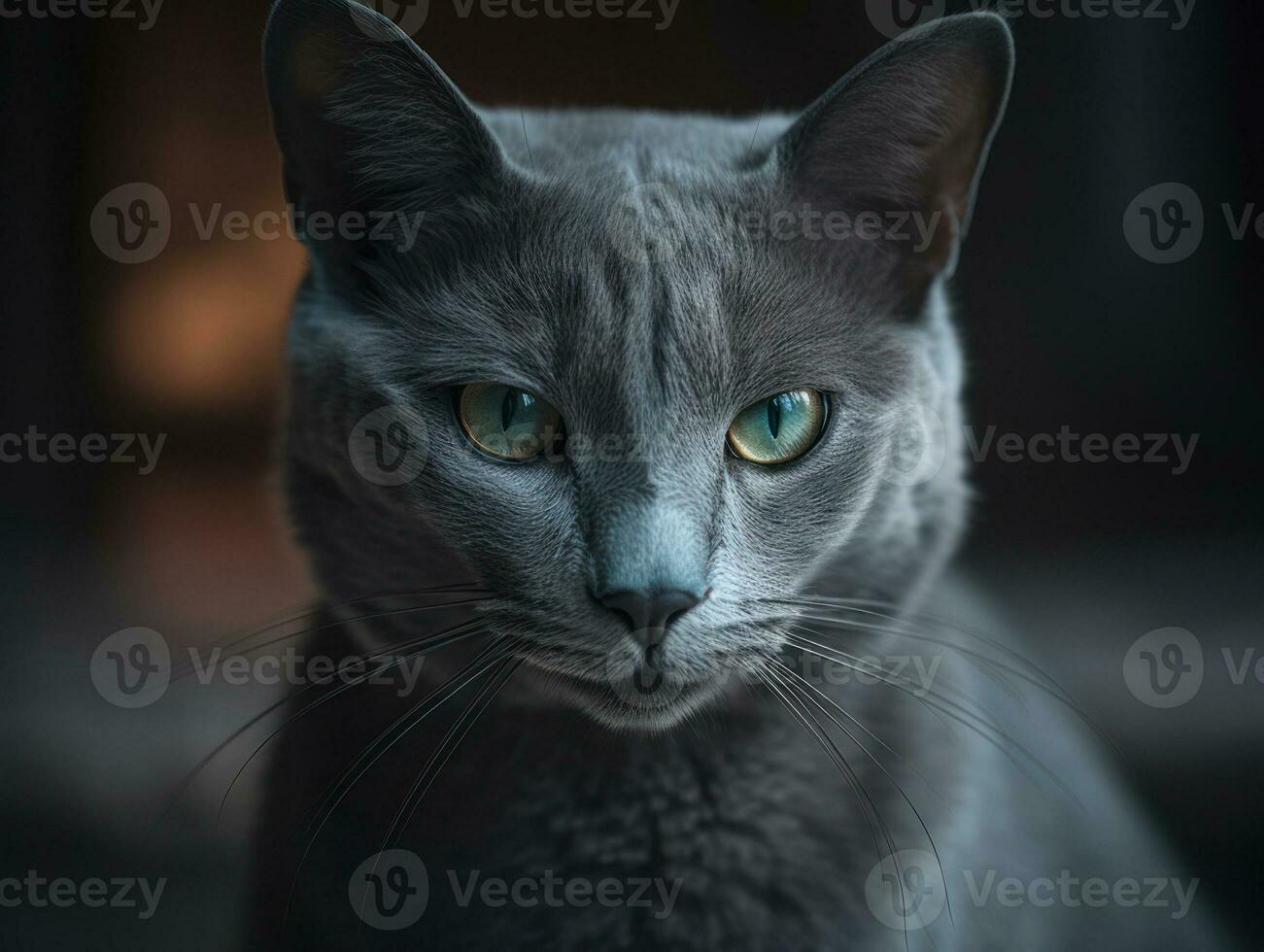 Russian blue cat portrait close up created with Generative AI technology photo