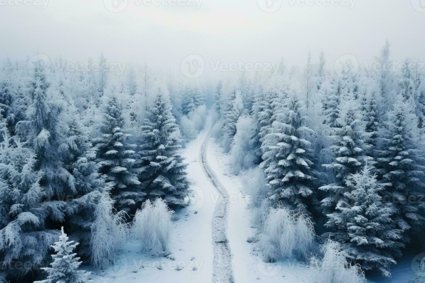 Aerial view of the forest with snowy road at winter. The trees are covered with snow. Beautiful nature. photo