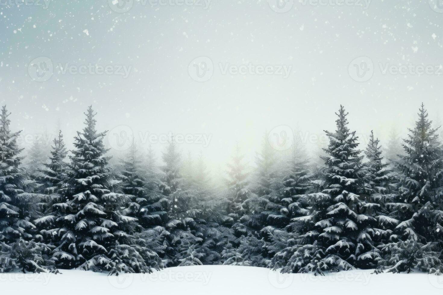 Side view of the forest at winter. Winter spruce forest in the fog. The trees are covered with snow. Beautiful nature. photo