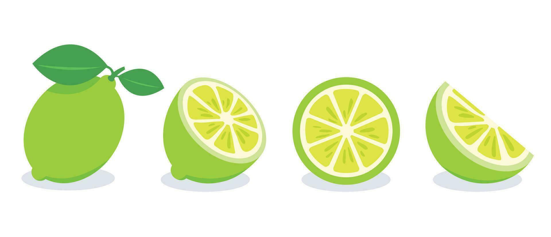 Set of green lemon vector illustration