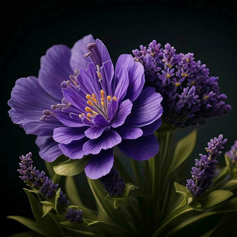 A beautiful lavender flower on black background, top view, Ai Generative photo