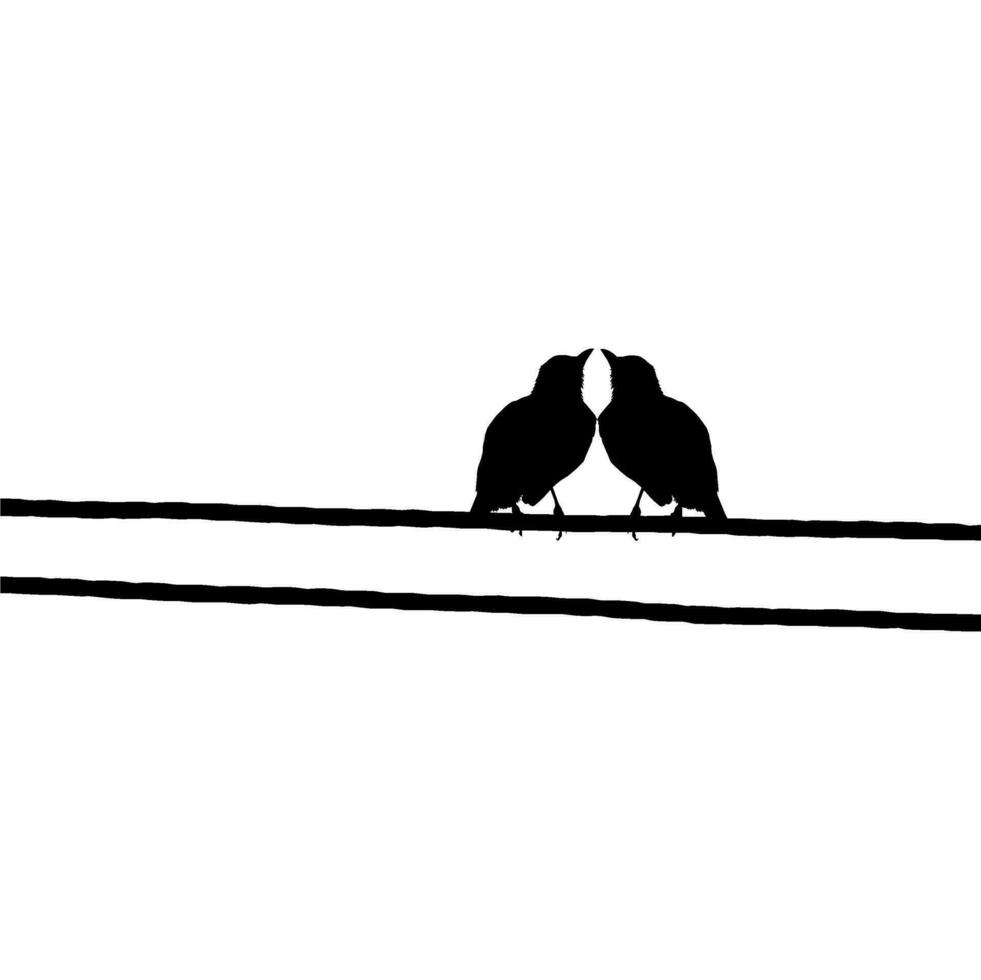 silueta de el par pájaro encaramado en el eléctrico cable base en mi fotografía. vector ilustración