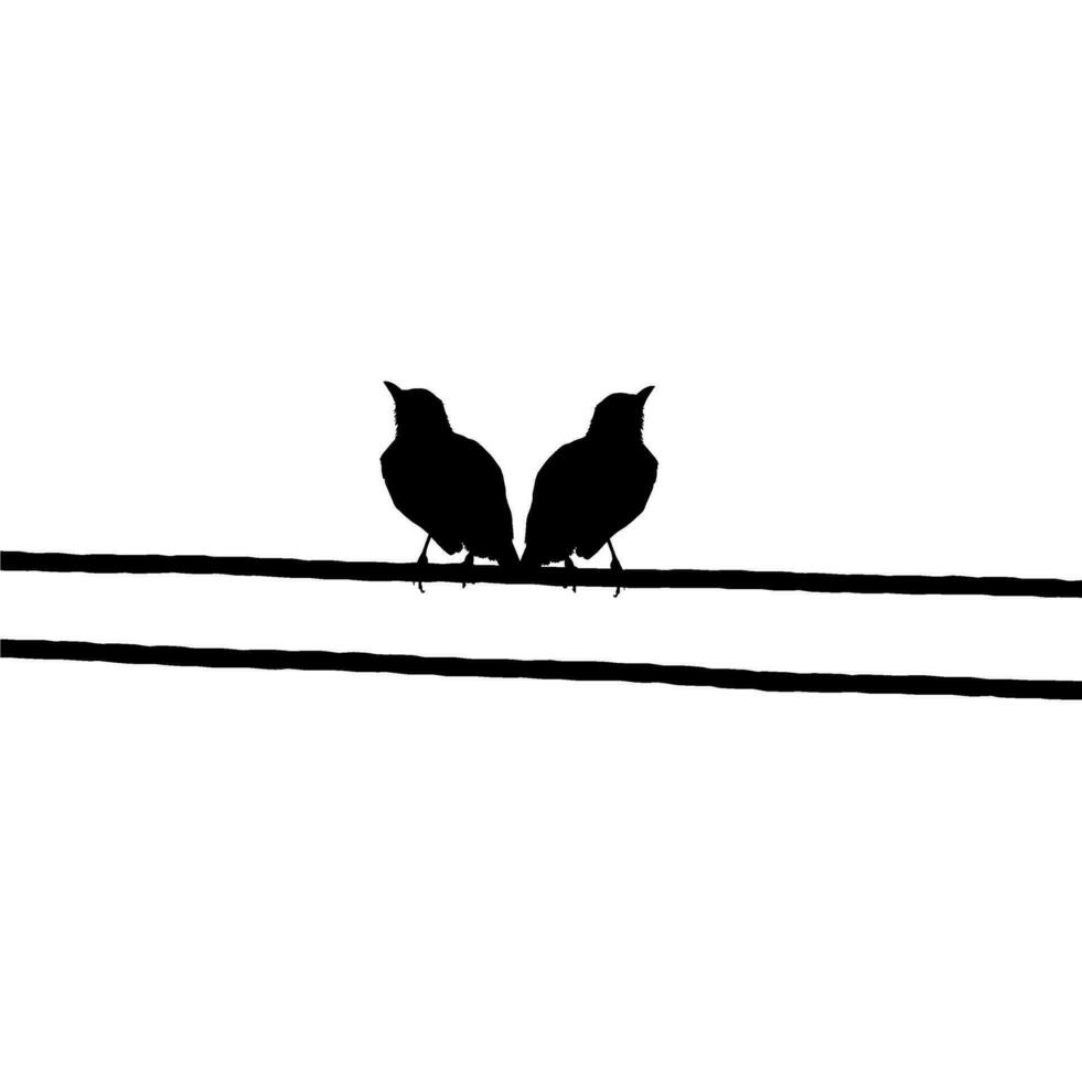 silueta de el par pájaro encaramado en el eléctrico cable base en mi fotografía. vector ilustración