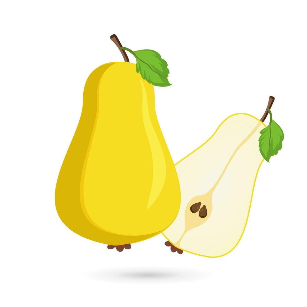 Vector ripe pear and its pieces. Two pieces sliced of yellow pear fruit cut on isolated white background