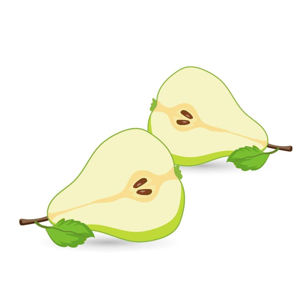 Two half cut pieaces of pear fruit, sliced pears on white background used in Organic healthy fruits vector illustration