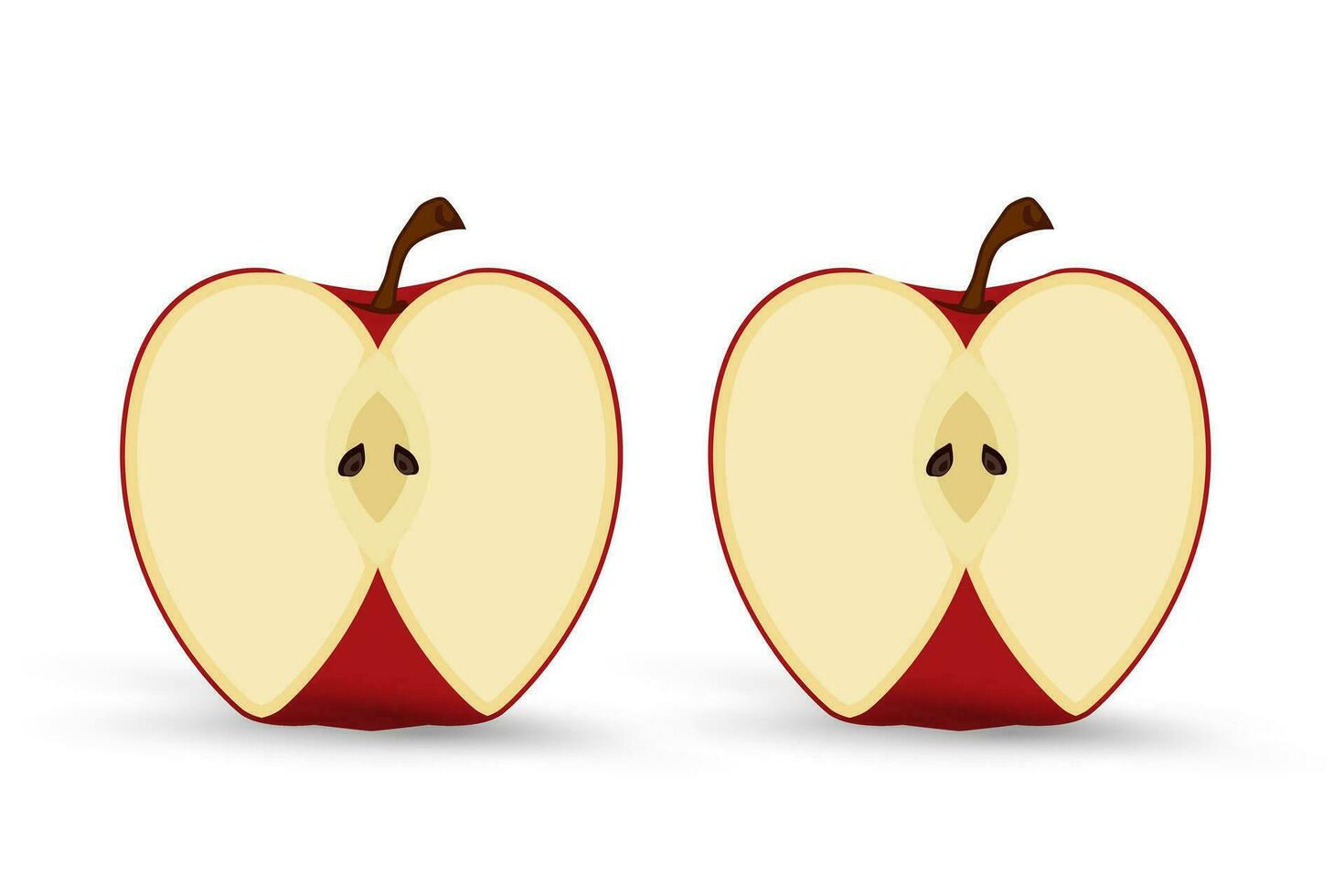 Group of two Fresh apple fruit cut object, element on isolated white background, healthy fruits concept vector