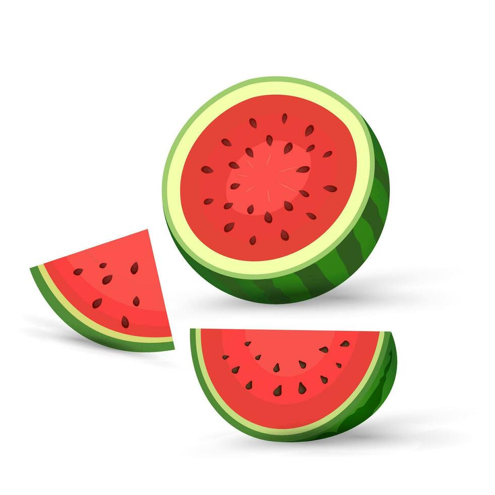Opened cut watermelon, clipart, vector, cartoon fresh green watermelon half, three pieces red watermelon slices. vector, illustration fruits vector