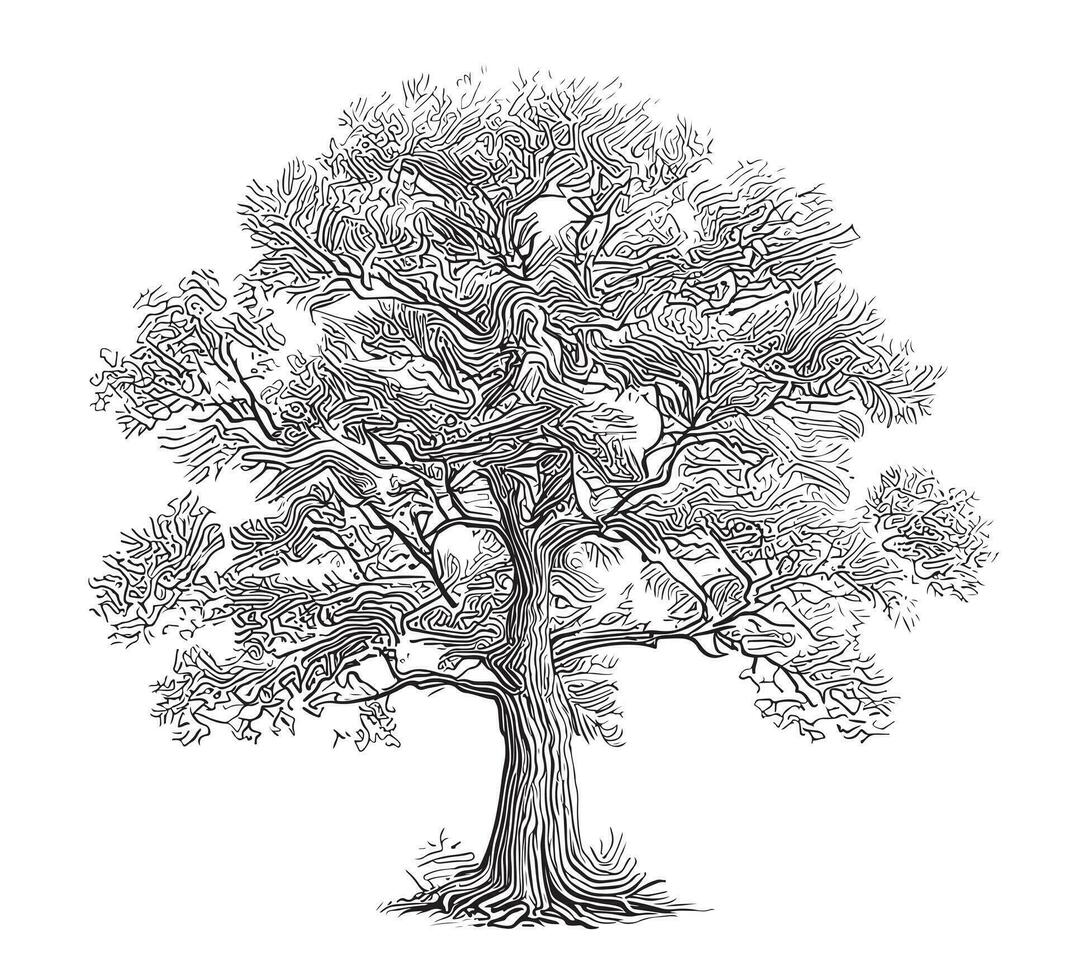 árbol de vida bosquejo mano dibujado en garabatear estilo vector ilustración