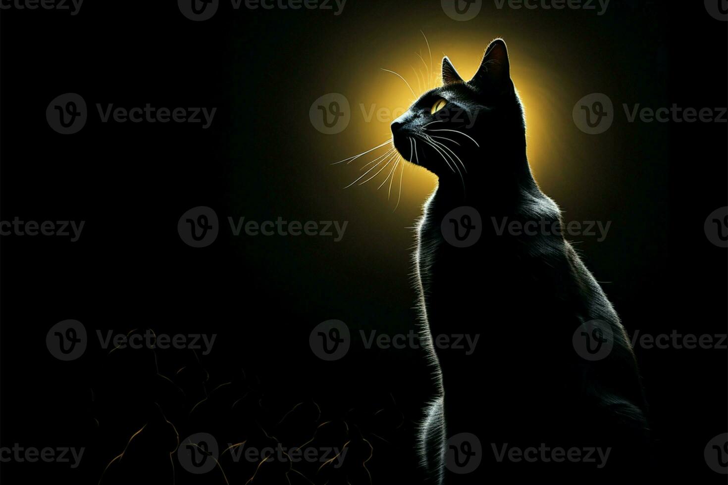 esmeradamente atrevido, negro gatos silueta soportes fuera en encantador oscuro fondo ai generado foto