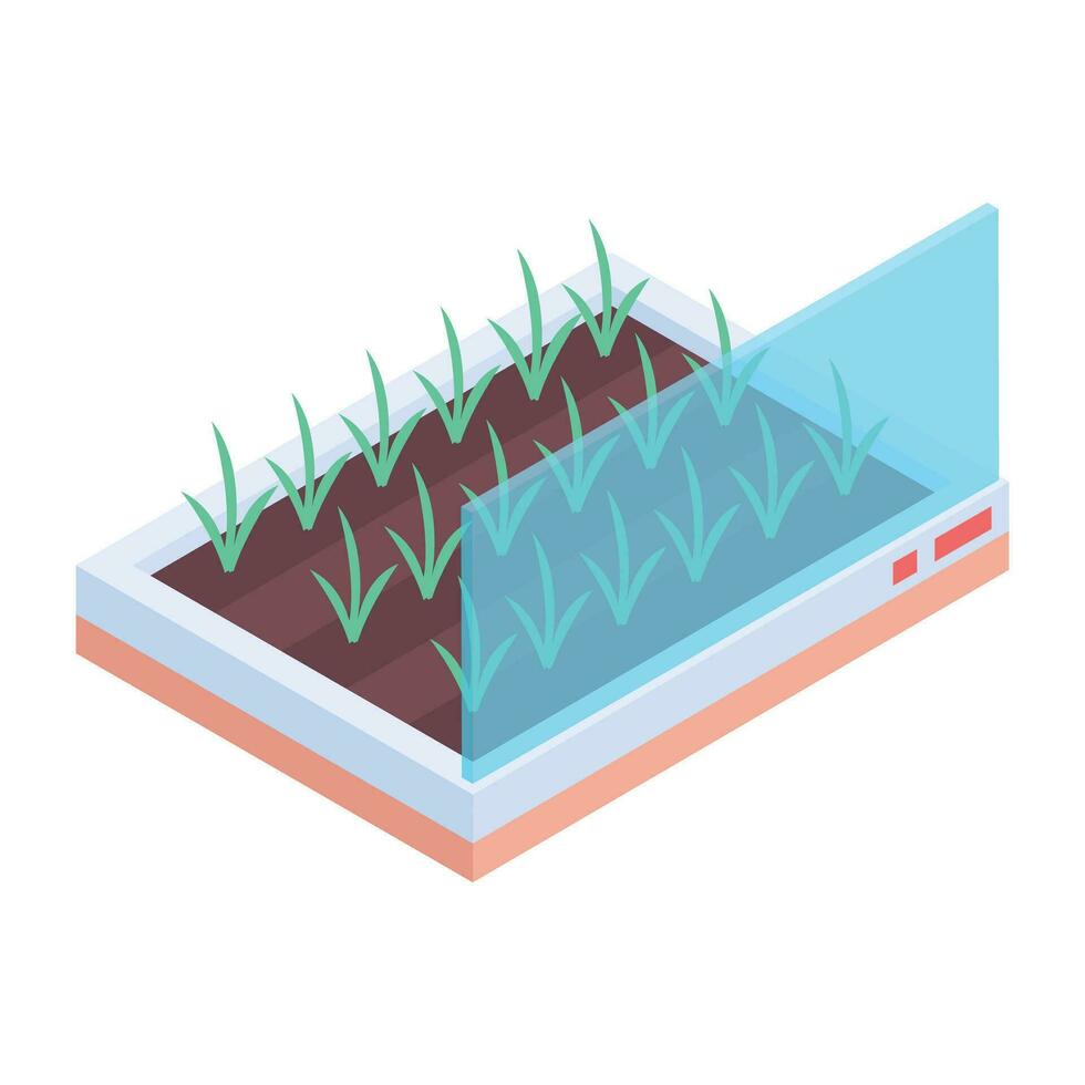 Aeroponic bed icon in isometric style vector