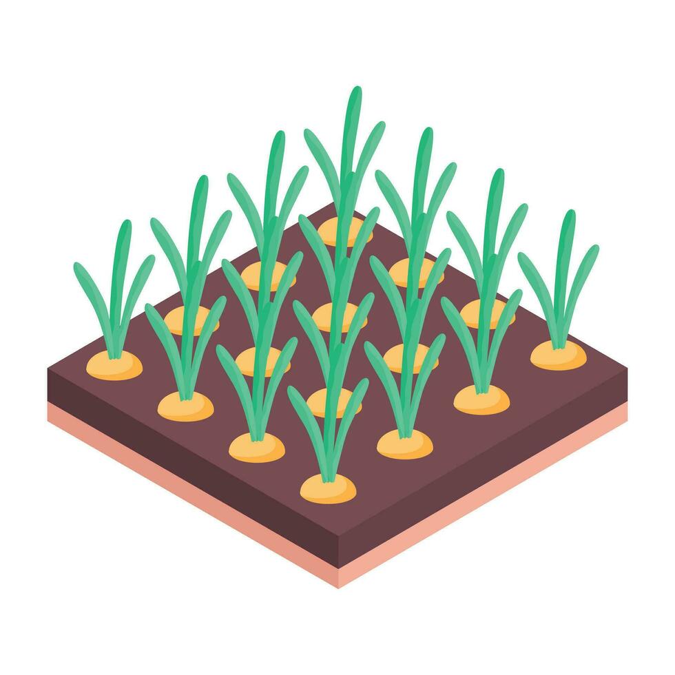 Check out plant hydroponics isometric icon vector