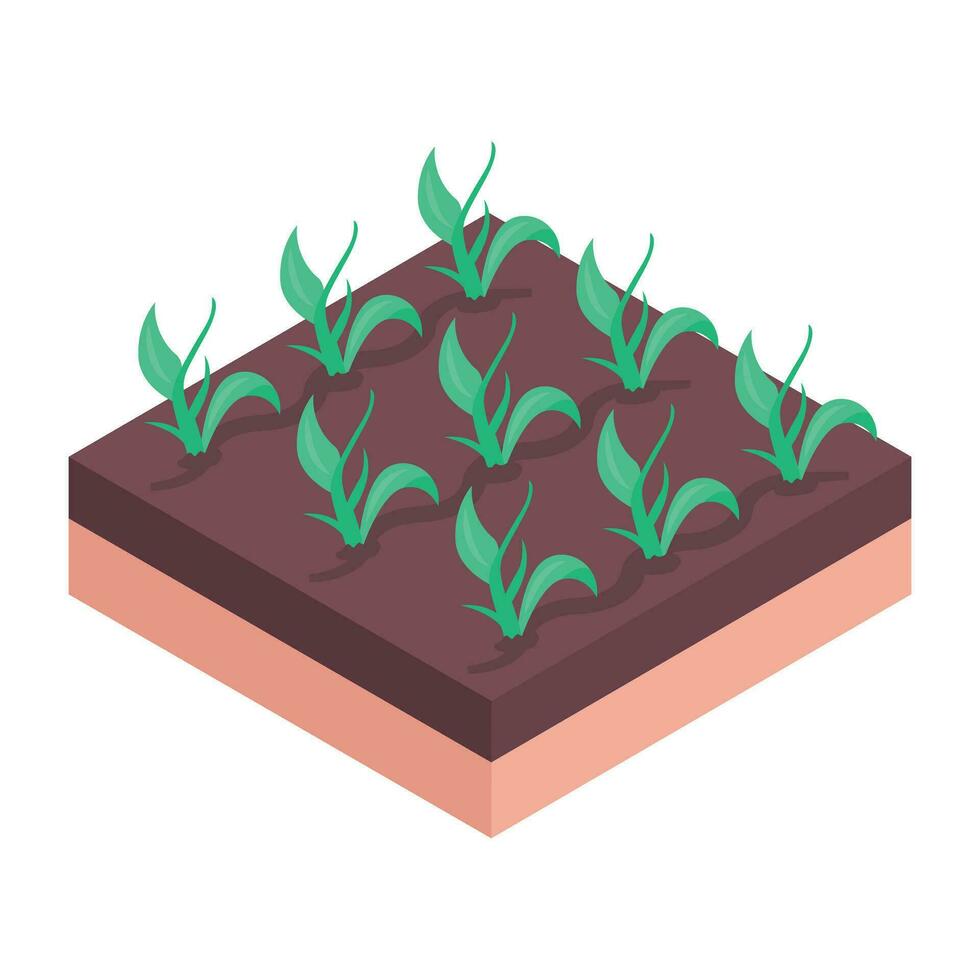 Check out plant hydroponics isometric icon vector