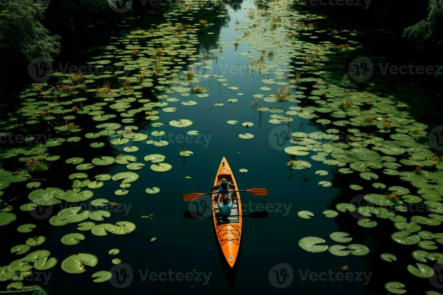 Aerial shot of kayaking in Rayongs lush lotus filled botanical garden
