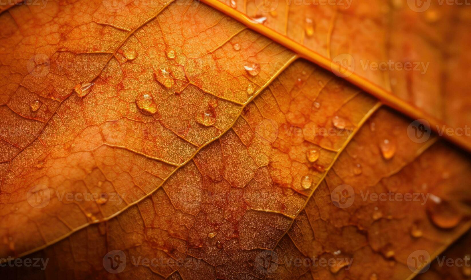 AI Generative. Close-up autumn dry leaf textured wallpaper. Created with AI tools photo