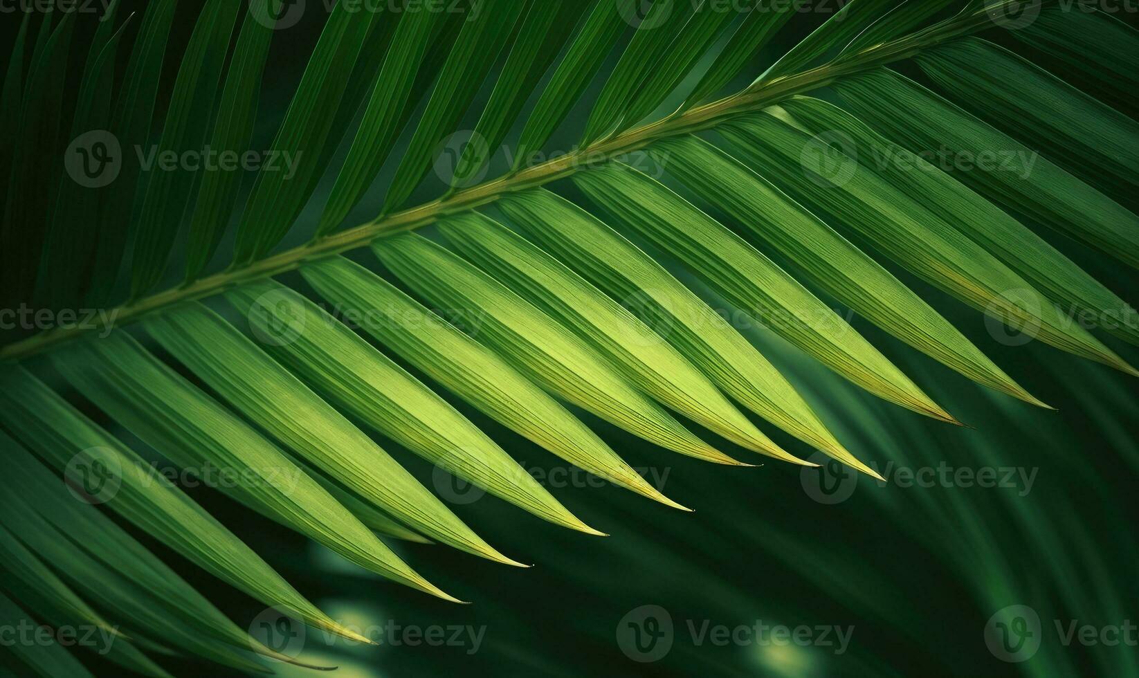 Palm leaf wallpaper. Tropical leaves background. For banner, postcard, book illustration. Created with generative AI tools photo