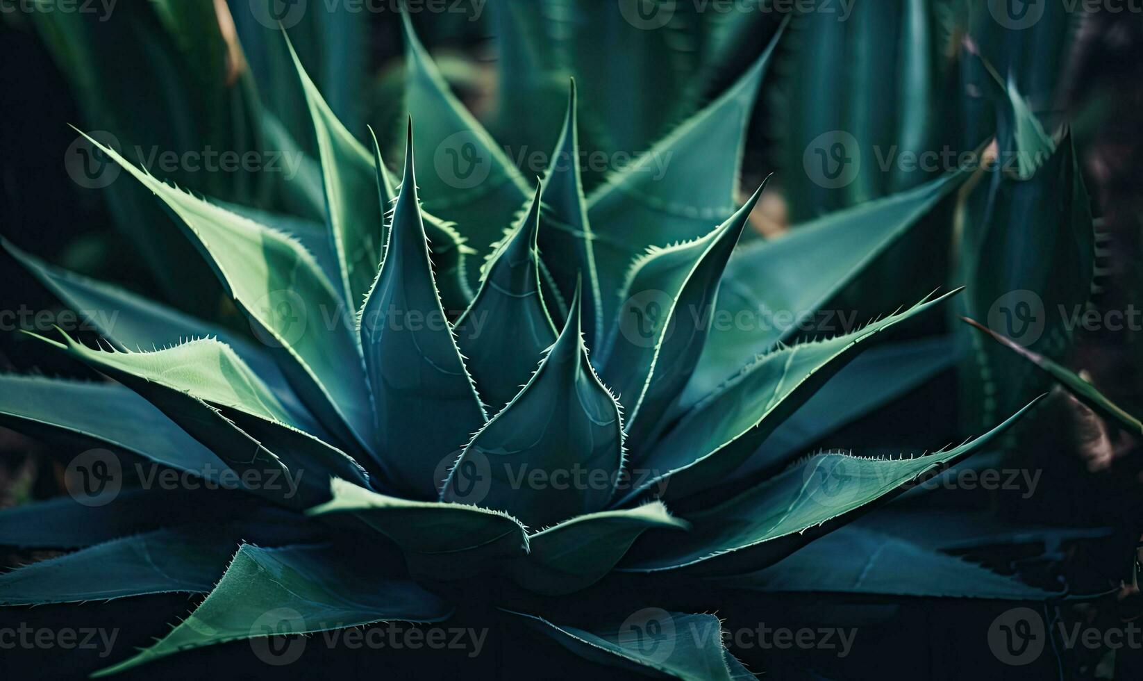 Tropical succulents wallpaper. Textured blue agave banner. For postcard, book illustration. Created with generative AI tools photo