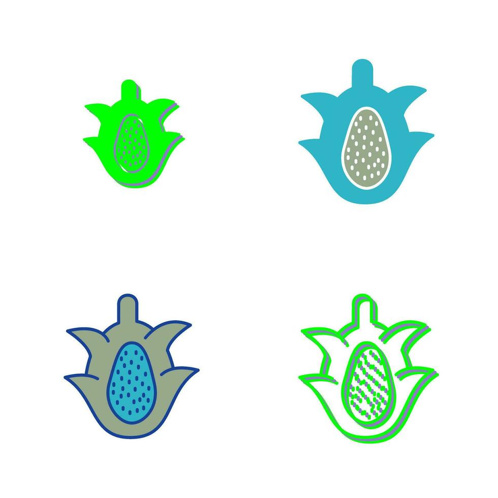 Dragon Fruit Vector Icon