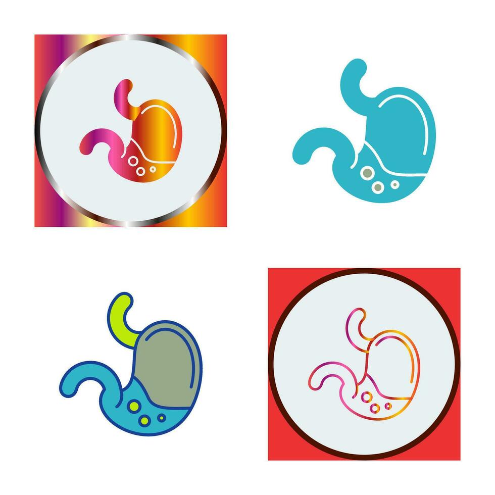 Stomach Vector Icon