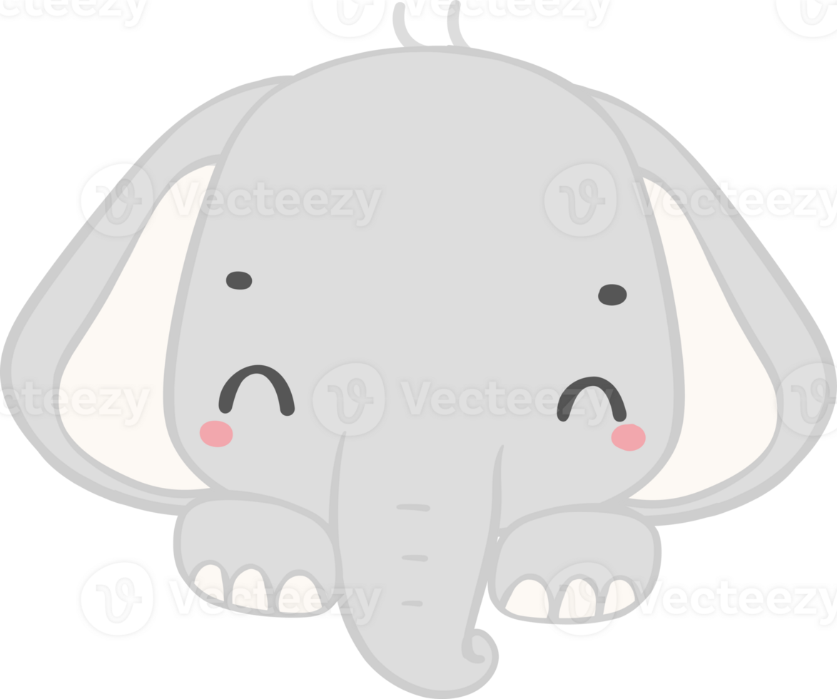 schattig olifant, kawaii baby olifant png