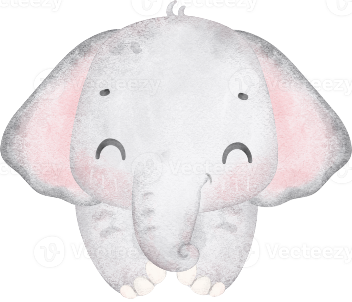 Cute baby elephant, kawaii nursery animal watercolor png