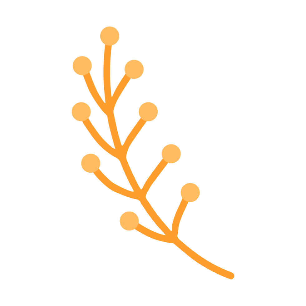A sprig with berries png