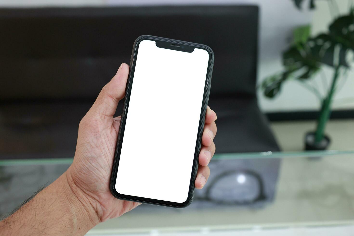 Phone, holding phone white screen, using mobile phone photo