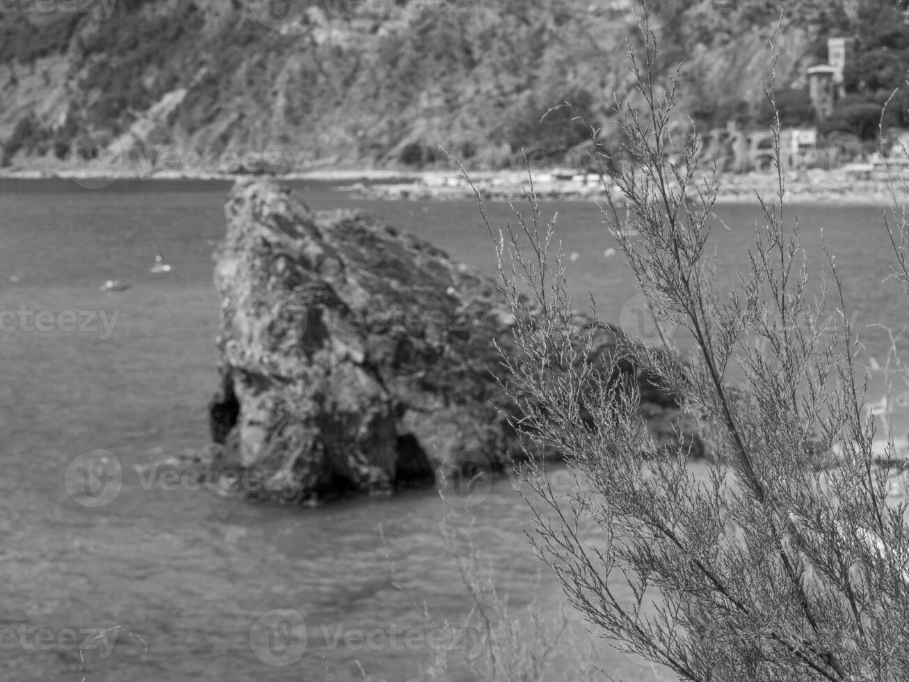 the cinque terre in italy photo