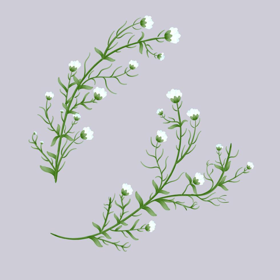 conjunto de acuarela verde hojas con blanco flores elementos. colección botánico vector adecuado para Boda invitación