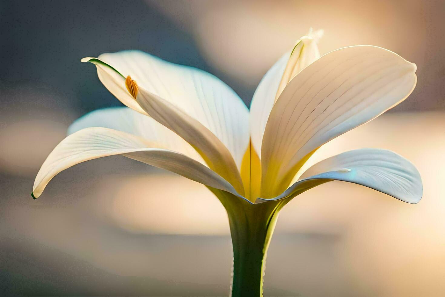 Lily Flower Ai Generative photo