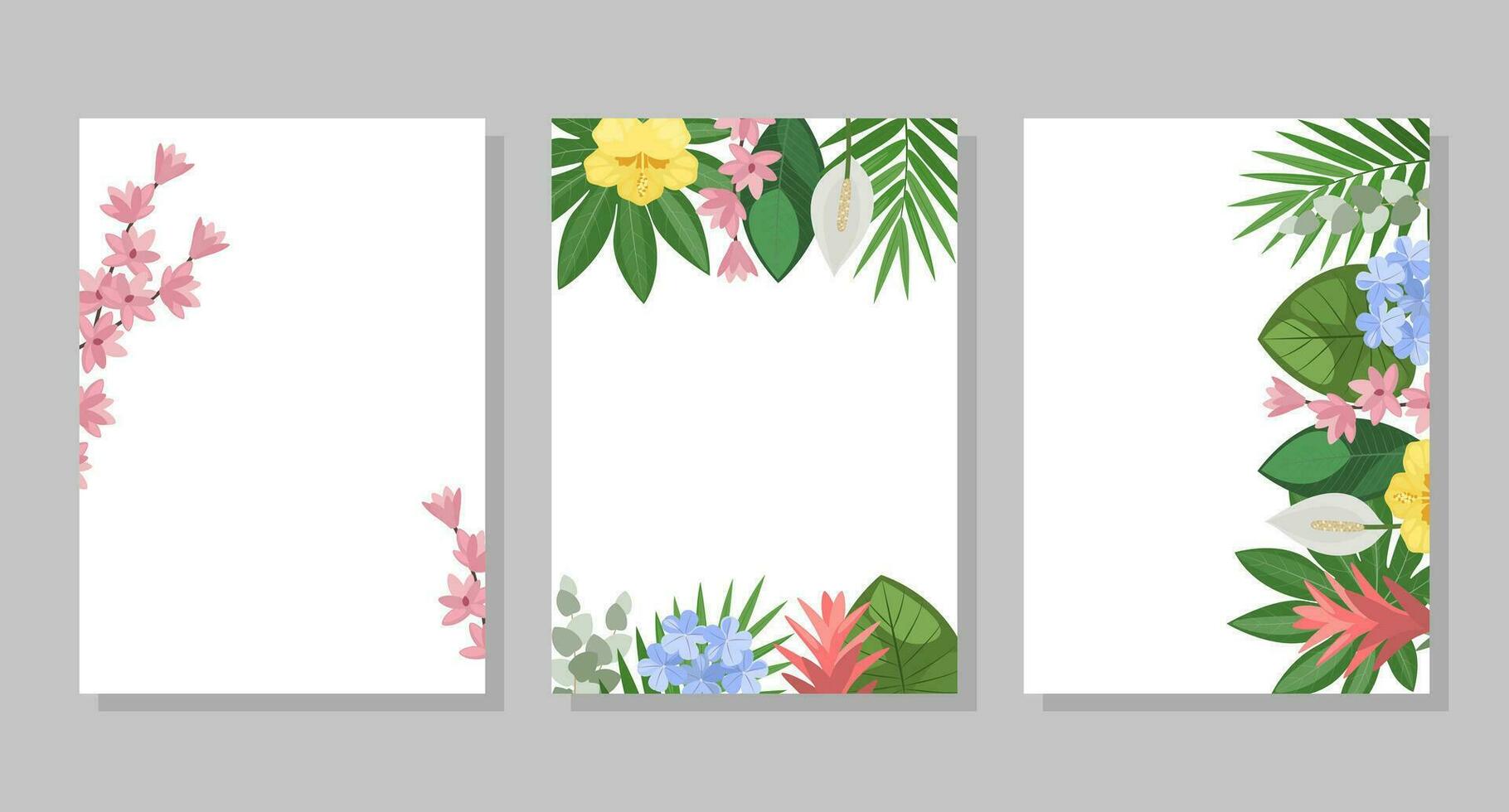 Set of tropical flower compositions, backgrounds, frames, postcards. Vector botanical illustration for booklet, invitation or flyer.