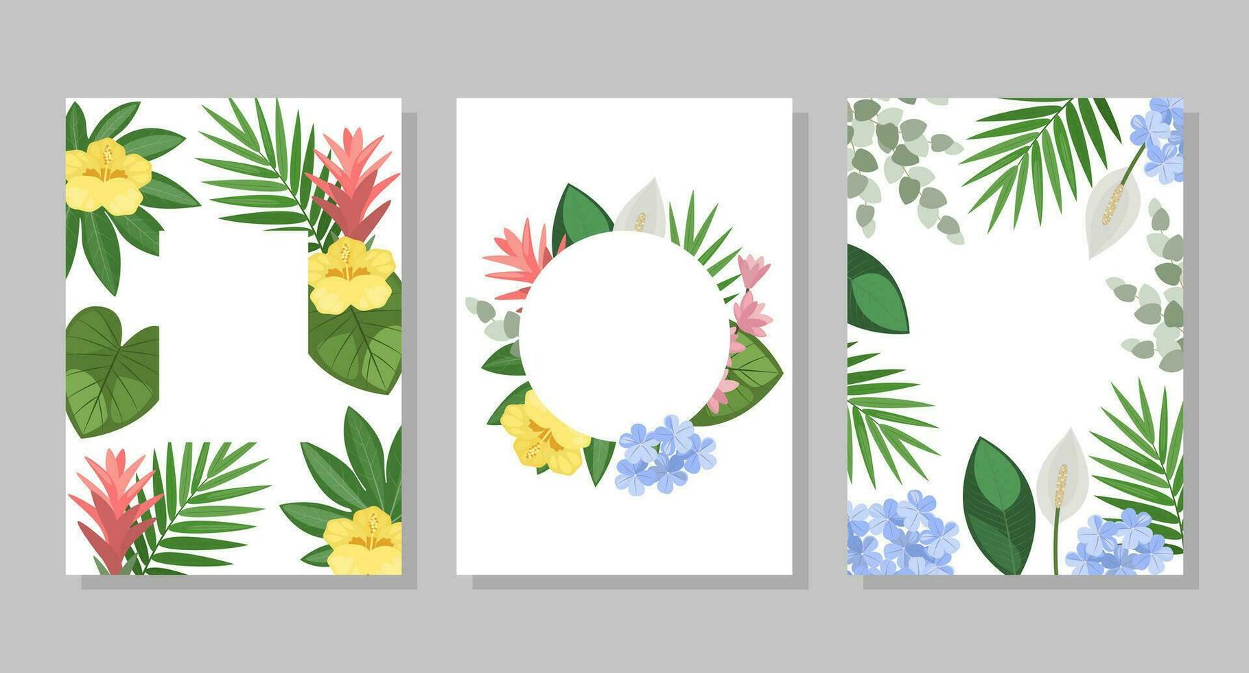 Set of tropical flower compositions, backgrounds, frames, postcards. Vector botanical illustration for booklet, invitation or flyer.