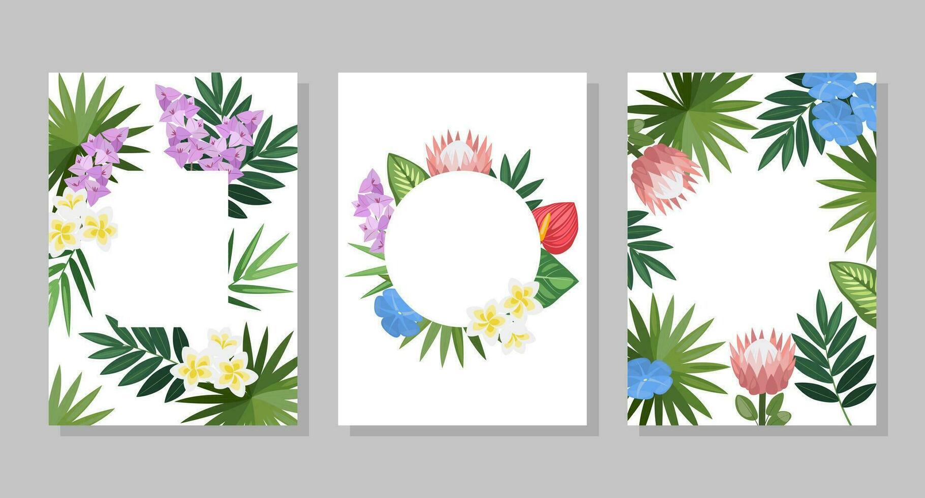 Set of tropical flower compositions, backgrounds, frames, postcards. Vector botanical illustration for booklet, invitation or flyer.