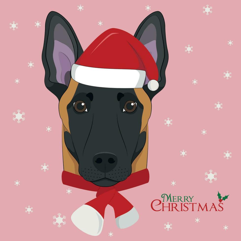 Navidad saludo tarjeta. Belga pastor malinois perro con rojo Papa Noel sombrero y un de lana bufanda para invierno vector