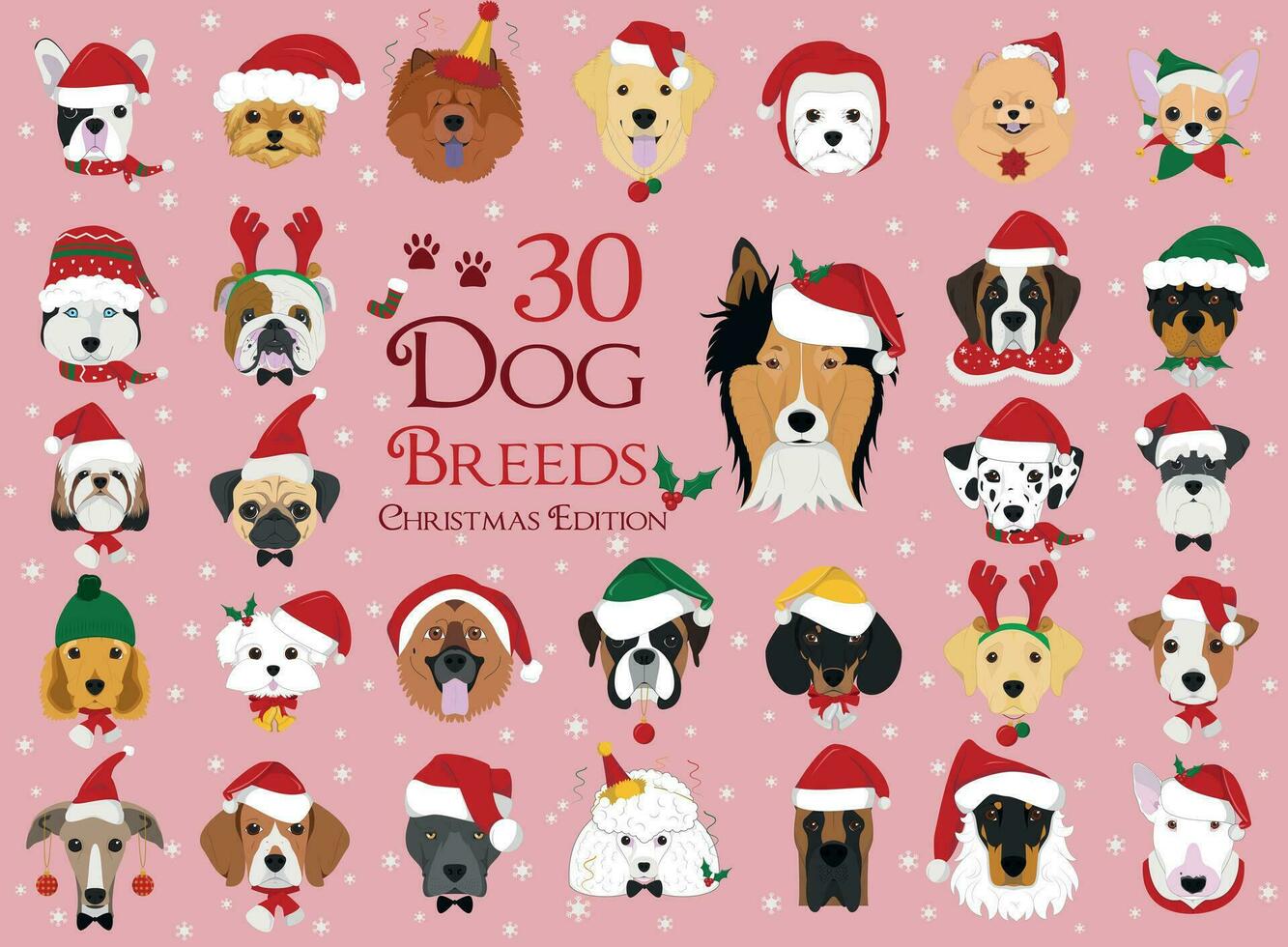 Set of 30 dog breeds with Christmas and winter themes vector