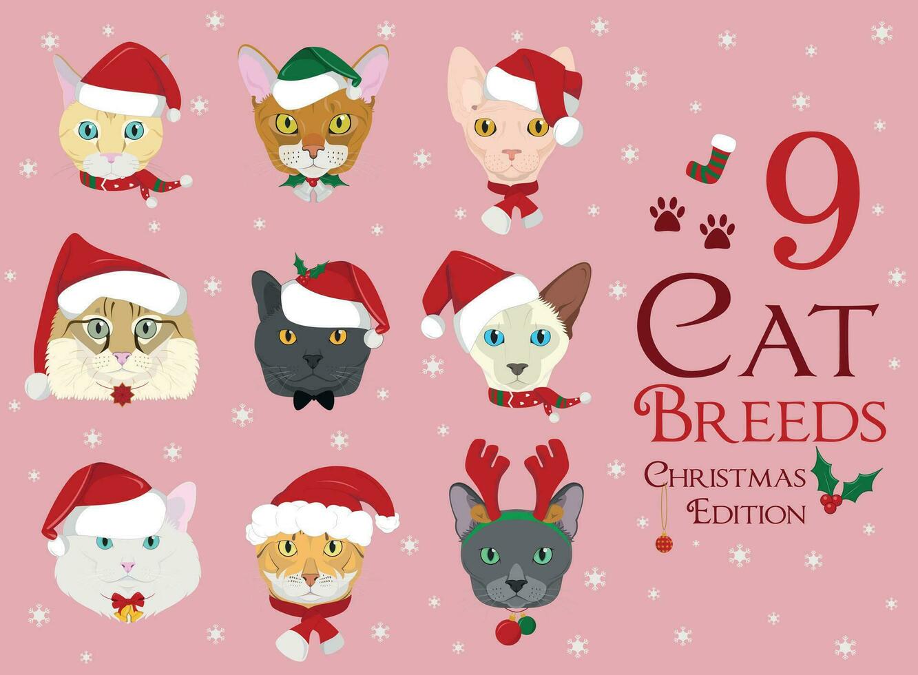 conjunto de 9 9 gato razas con Navidad y invierno temas vector