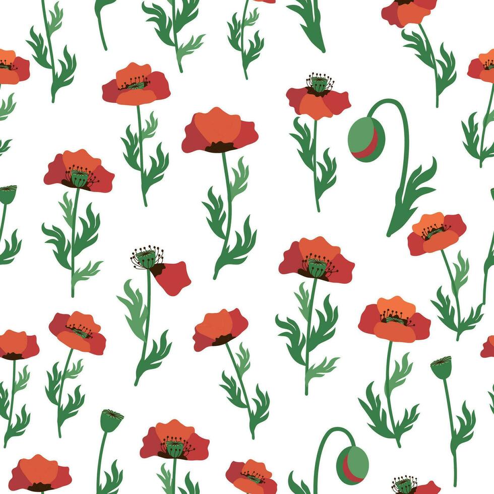 Summer seamless pattern with bright red poppy flowers and poppy pods. Field, meadow of poppies vector