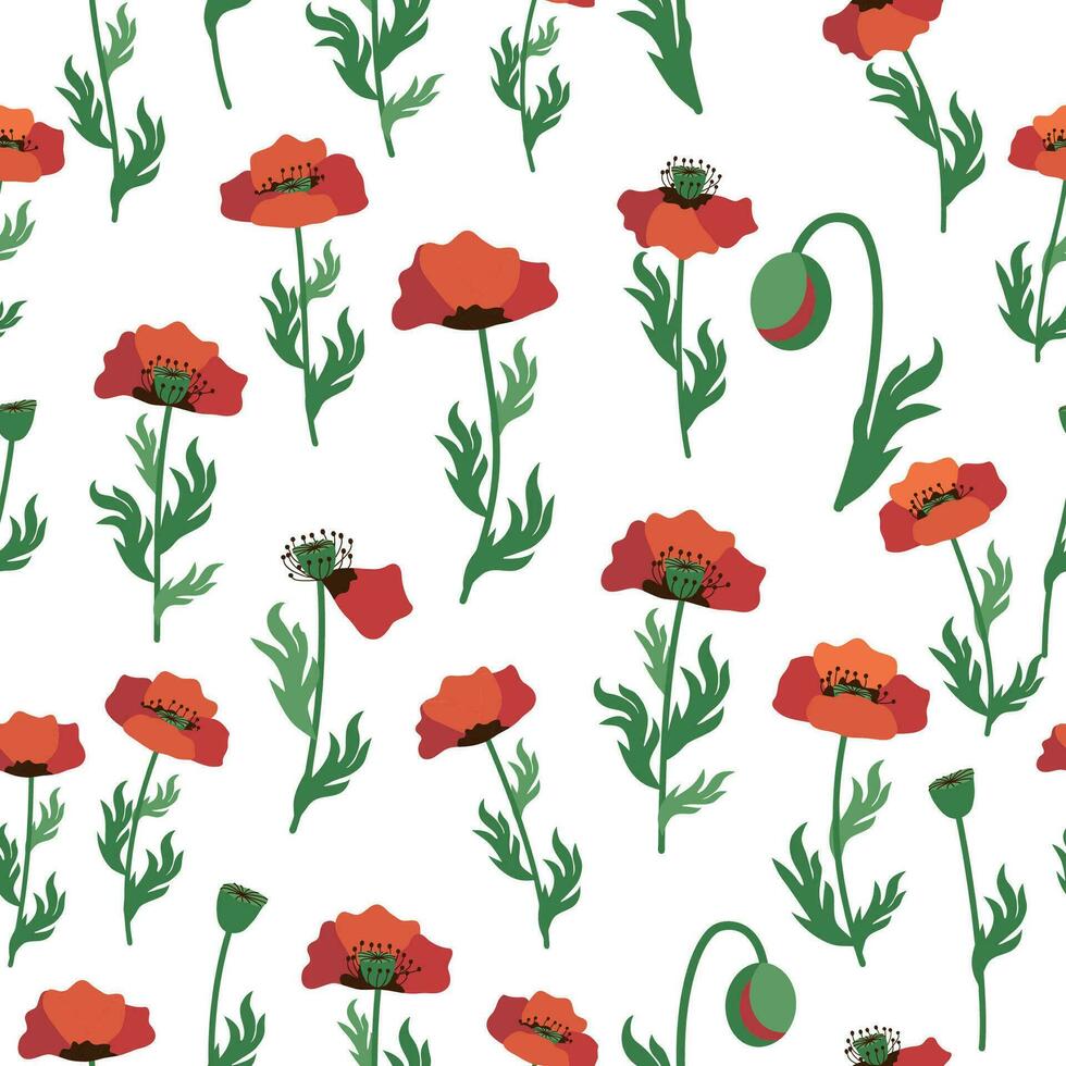 Summer seamless pattern with bright red poppy flowers and poppy pods. Field, meadow of poppies vector