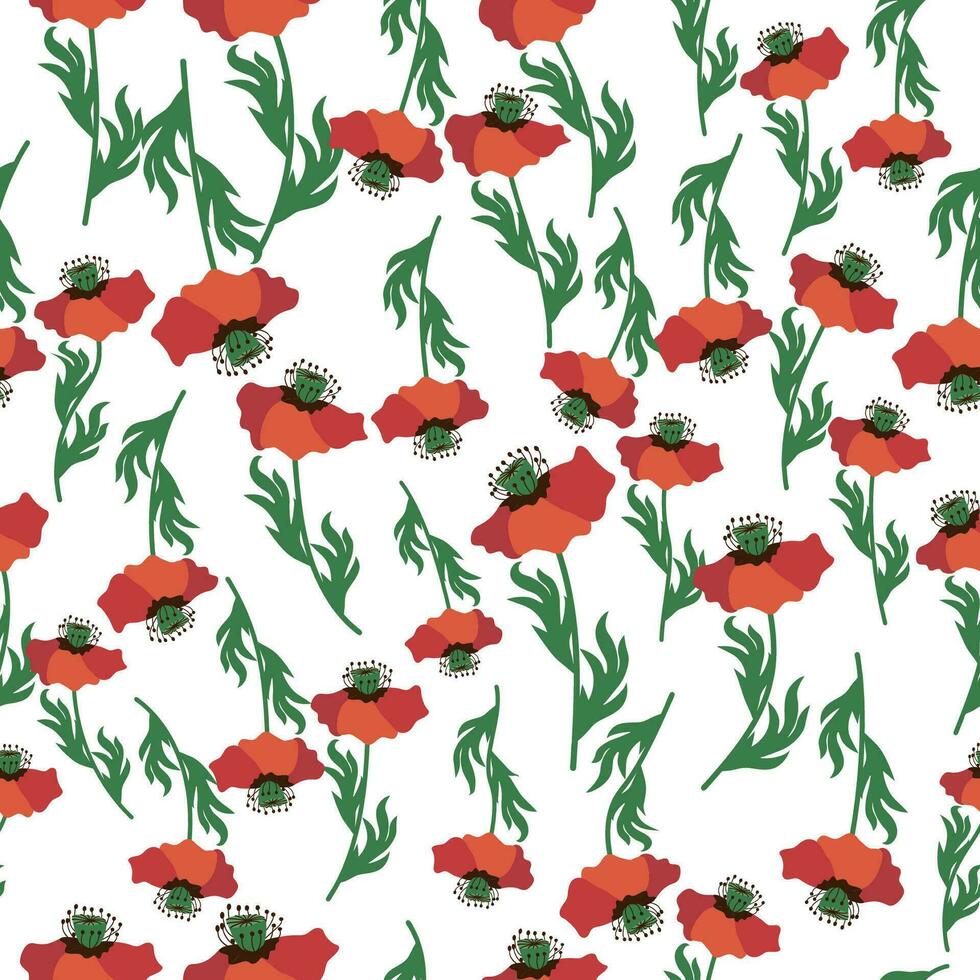 Summer seamless pattern with bright red poppy flowers and poppy pods. Field, meadow of poppies vector