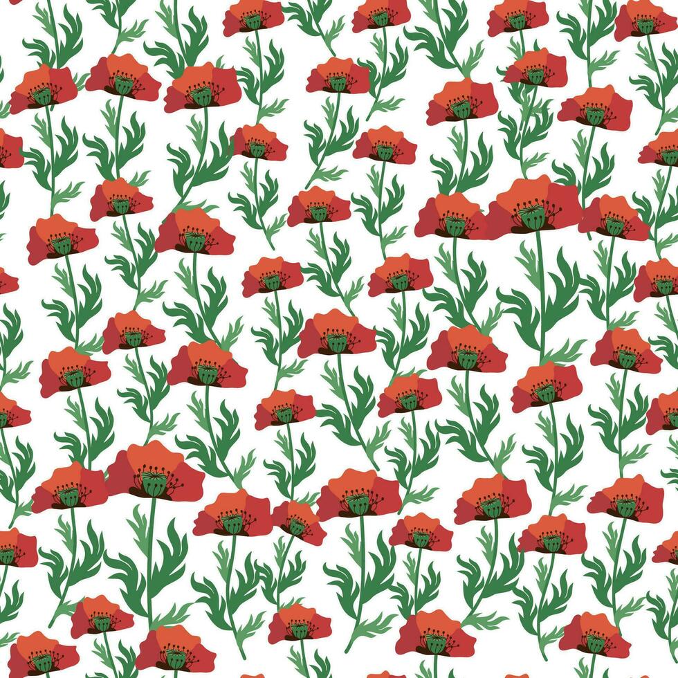 verano sin costura modelo con brillante rojo amapola flores y amapola vainas campo, prado de amapolas vector