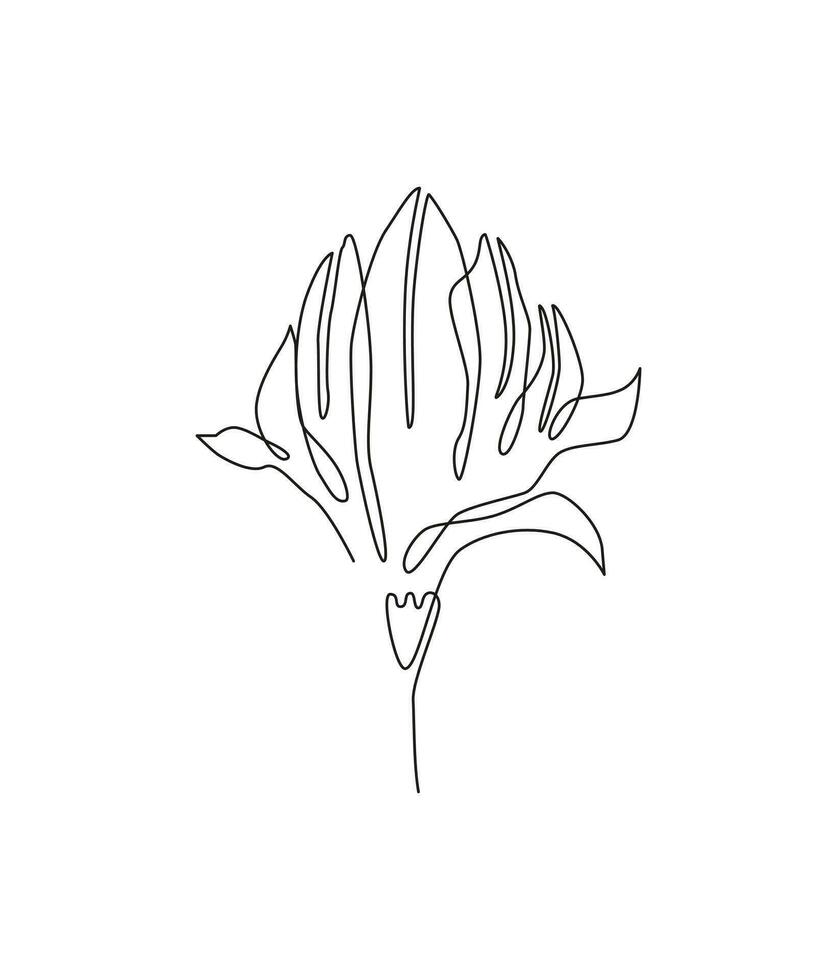 Magnolia continuous line drawing. Botanical monoline, line art, outline. Japan flower, magnolia blossom. Symbol, icon, logo, sketch. vector