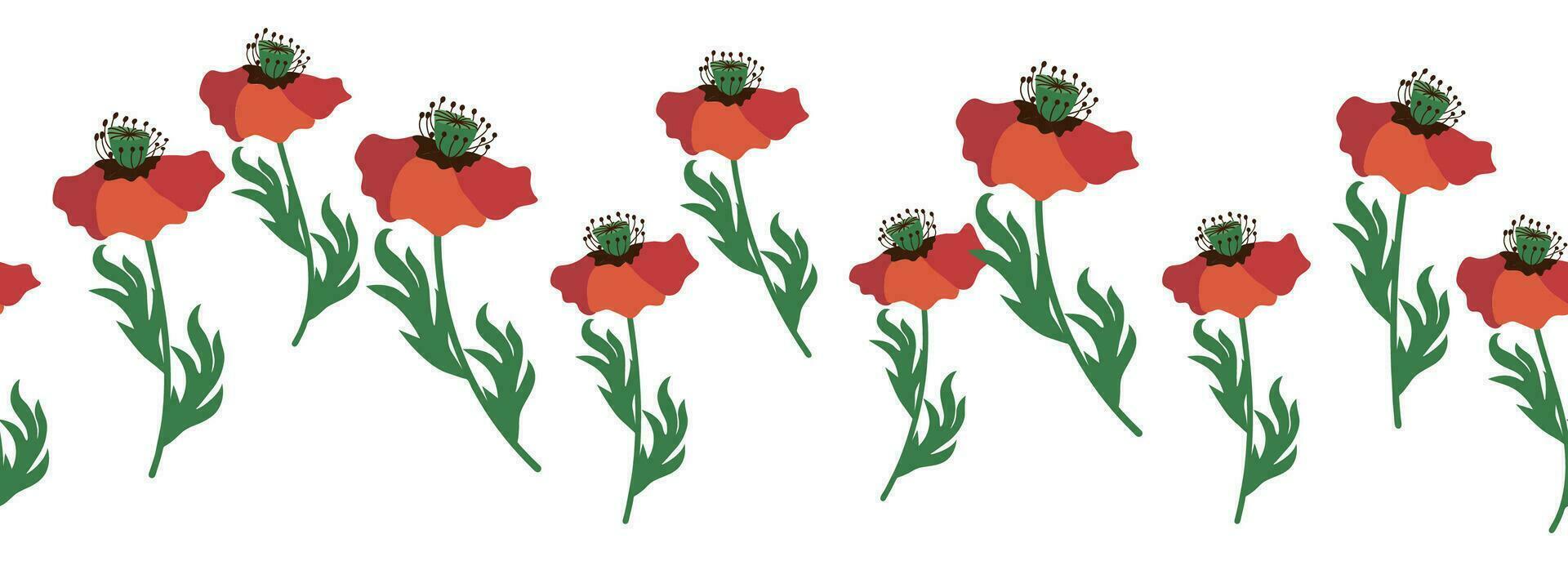 Summer seamless pattern with bright red poppy flowers and poppy pods. Garland, flower border vector